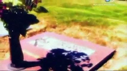 Voces sepultadas - Dawn Hacheney