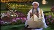 Khaali Rawein Na Daaman - Prof. Abdul Rauf Roofi Naat - Abdul Rauf Roofi Videos
