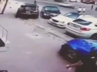 Кот псих напал на собаку и женщину