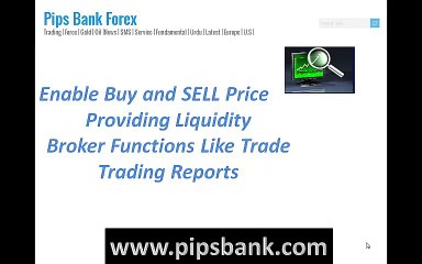 Lesson 4 Broker Role Learn Urdu Hinid Forex