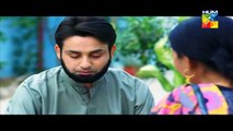 Aik Pal Episode 10 Full HUM TV Drama Jan 26, 2015