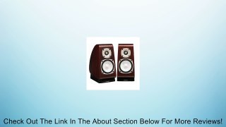 Onkyo Guitar Acoustic Speaker System One Set of Two D-tk10 Review