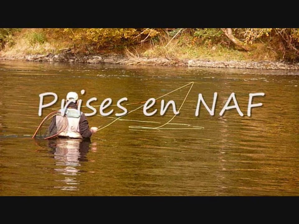 Prises en NAF