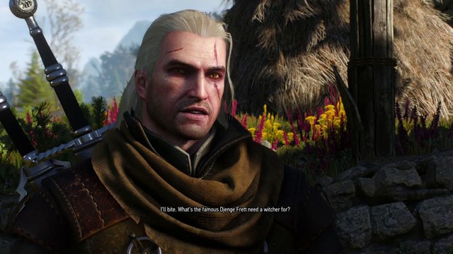 The Witcher 3 Gameplay