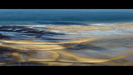 Defender Celebration: How was Land Rover born?