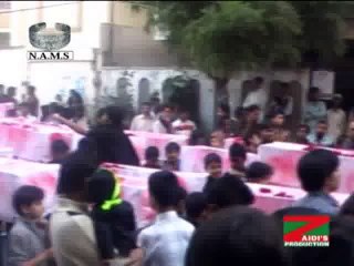 Manzil per Pohchaey Safena...by Syed Riaz Haider Zaidi (2010)