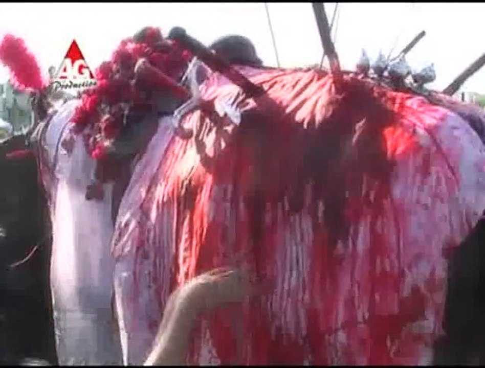 Sham-e-Ghariban Hey...by Syed Riaz Haider Zaidi (2011)