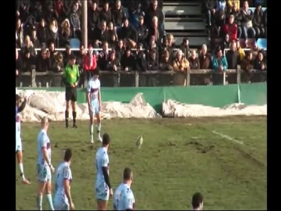 J18 - CSBJ vs SMR