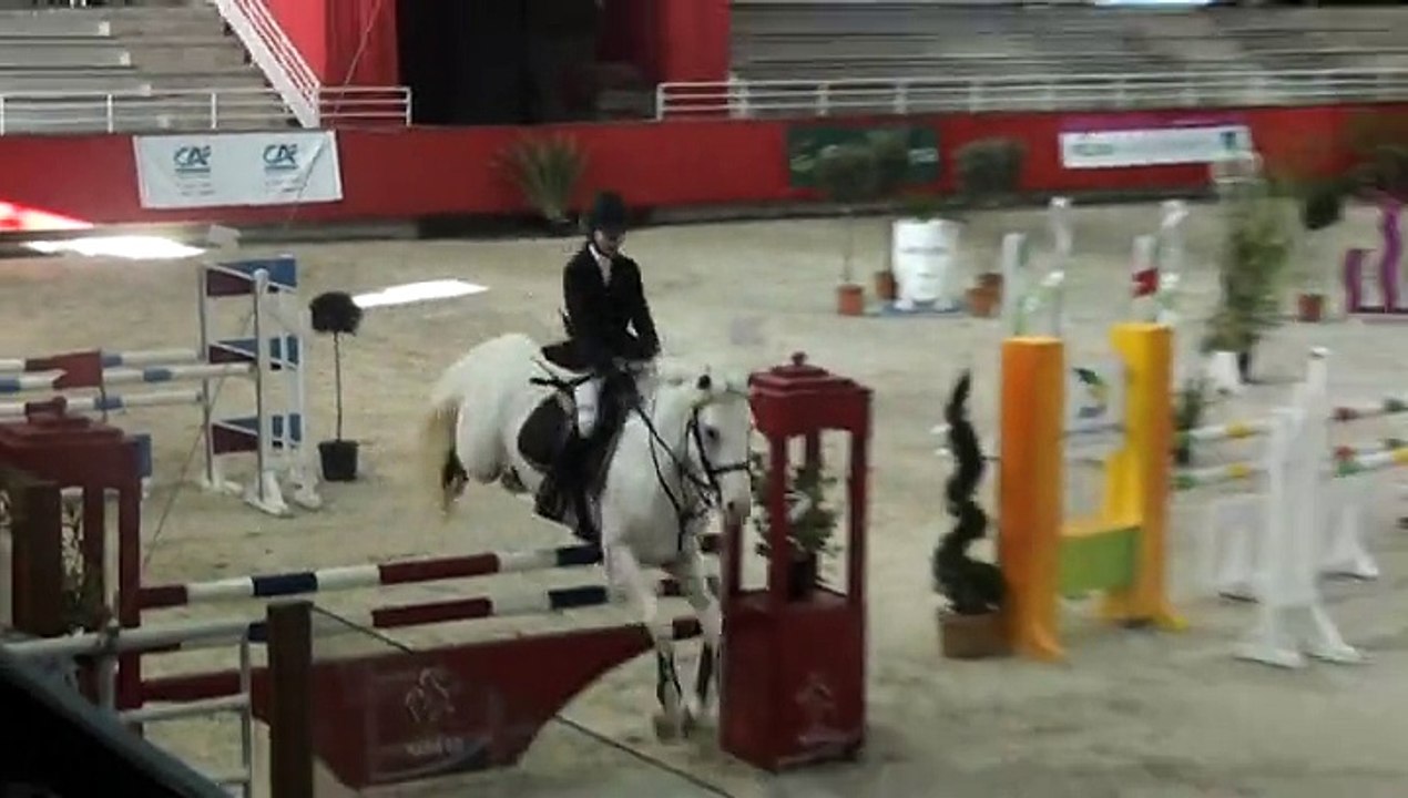 Ready Teddy d'Albran - TDA de Saint Lo 25 janvier 2015