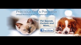 Precious Pets Paradise : Bed For Cat