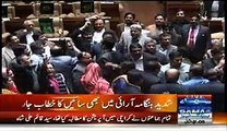 Fight Between MQM And PPP Leaders In Sindh Assembly