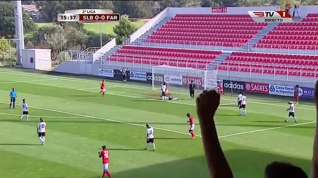 Rui Fonte