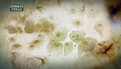 훤히 비치는하남오피방이미지 송편각구월동오피방이미지25하단오피방이미지926송편