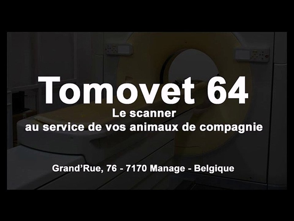 Colonne lombaire d'un labrador - Tomovet 64