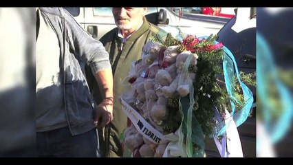 Inside the Americas - Gun Violence in the United States