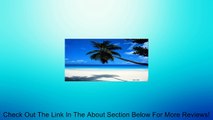 White Sands Beach LICENSE PLATE plates tag tags auto vehicle car front Review