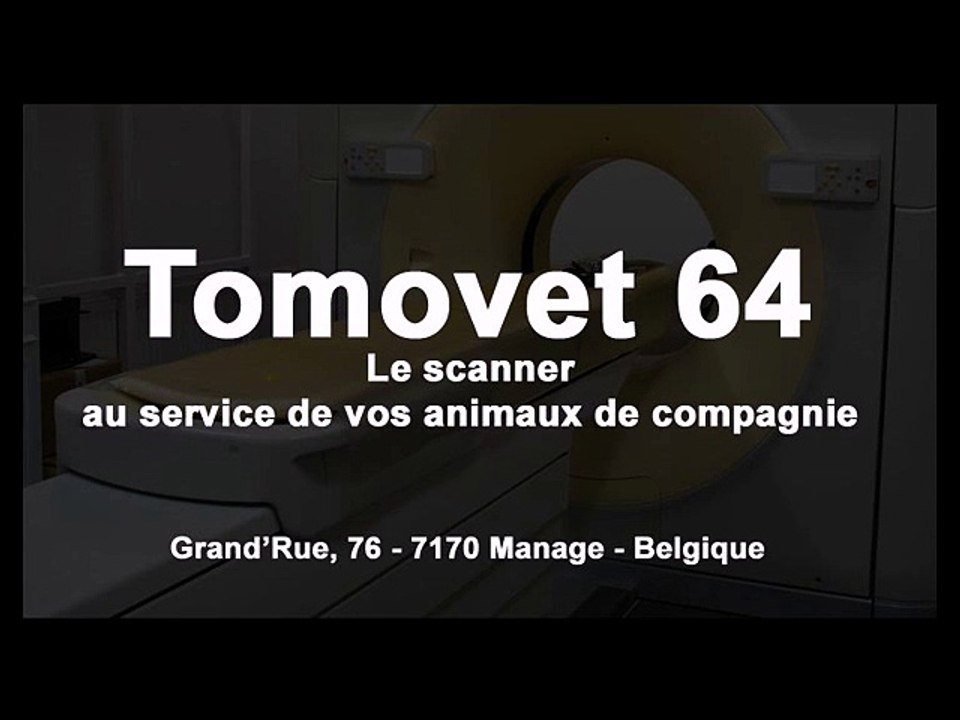 Gris du gabon - Scanner de queue vers la tête - Tomovet 64