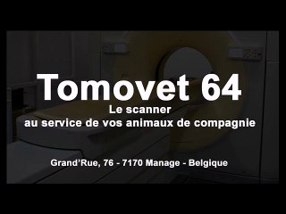 Tête d'un lapin de l'arrière vers l'avant - Tomovet 64