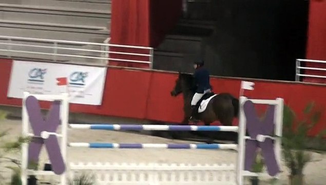 Saphir de Cormeille - TDA de Saint Lo 24 janvier 2014