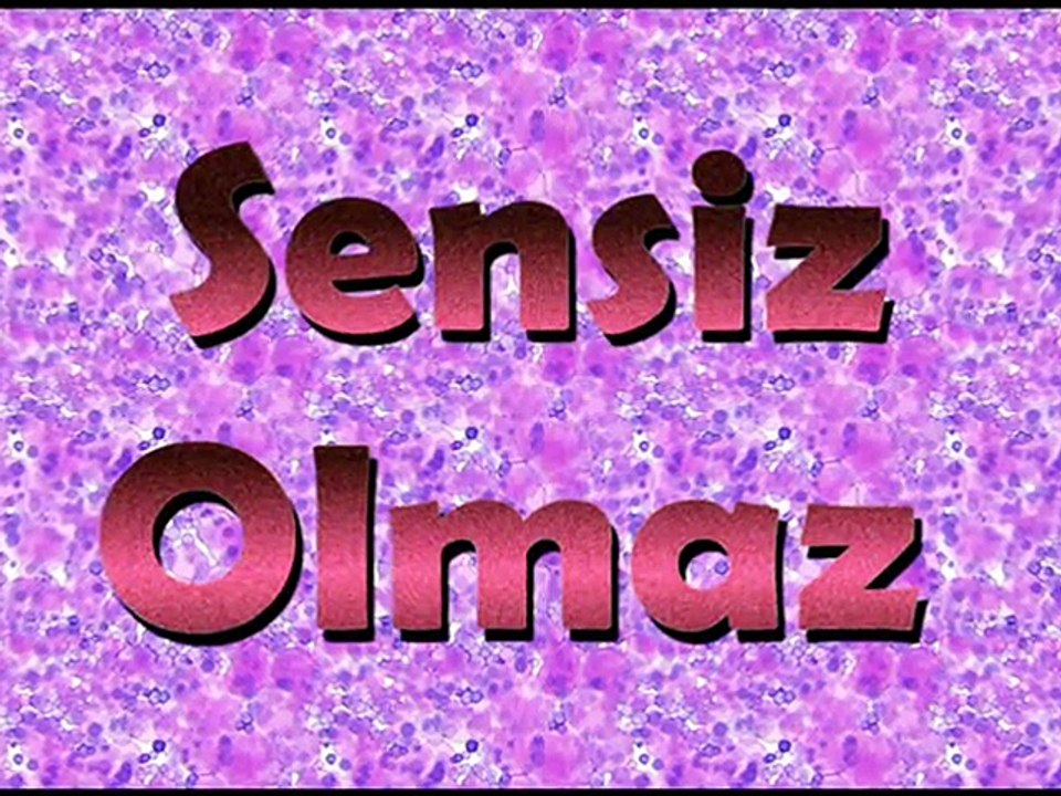 SENSIZ OLMAZ - Nilüfer & Teoman