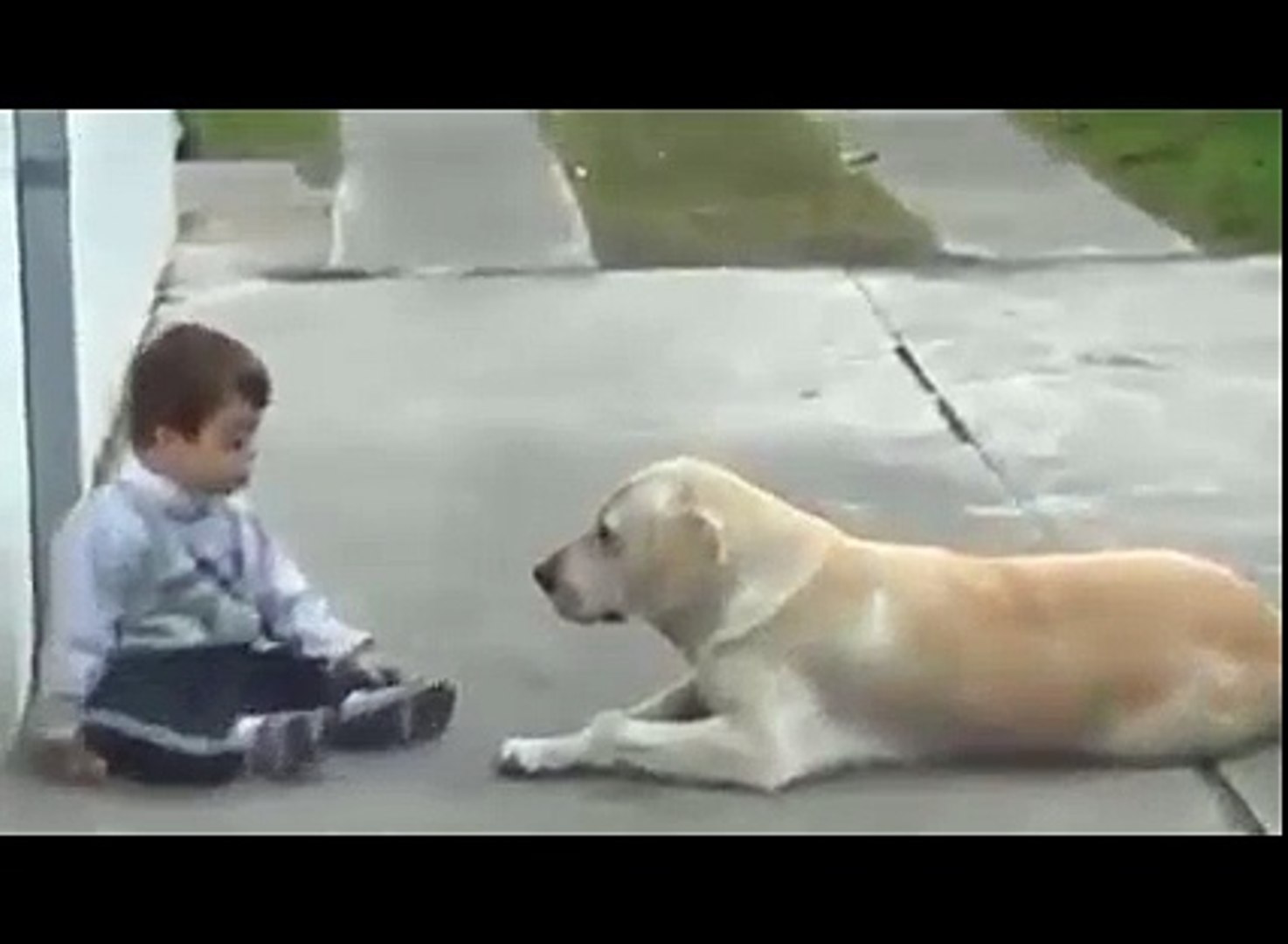 Down syndrome child with 2024 dog