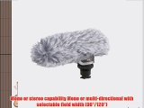 Canon 2591B002 DM-100 Directional Stereo Microphone for HF/HG Series Camcorders