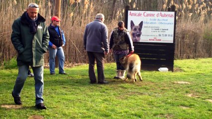 Brevet de Iros à aubenas 15 mars 2014
