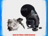 Rode Stereo VideoMic Pro Rode Deadkitten Rode VXLR XLR Adaptor Rode VC1