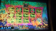 LIVE PLAY on Goldfish Race for the Gold Slot Machine with Bonus and Big Win!!!