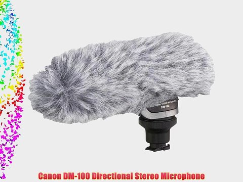 Canon DM-100 Directional Stereo Microphone
