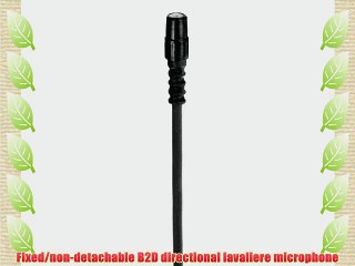 Countryman B2DW4FF05BSLF B2D Directional Lavalier Microphone with Standard Gain Sensitivity