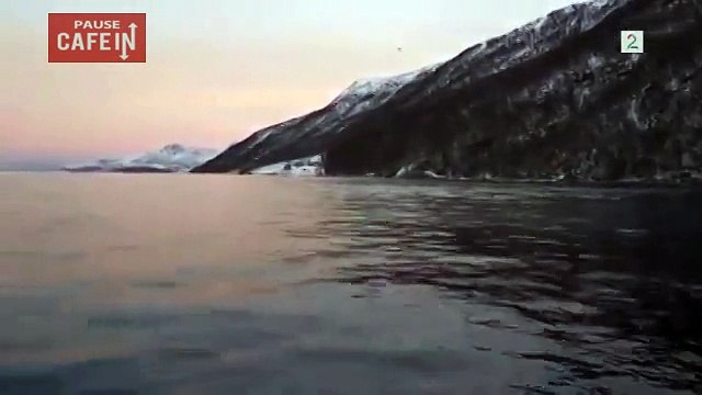 Ces messieurs vont être frôlés par 6 géants des mers