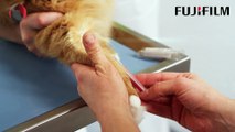 Hasvet Medikal - Fujifilm Immuno AU10V Hormon Analiz Cihazı