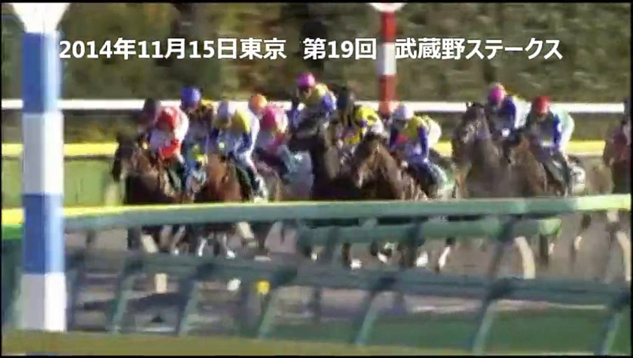 【競馬2015】 第29回 根岸ステークス GⅢ 参考レース【Y氏の馬券】