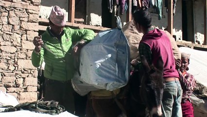 انتهاء حقبة التجارة التقليدية بقوافل الحيوانات في النيبال