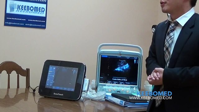 SonoTouch 30 Touchscreen Ultrasound %7C Buy Color Doppler Sonography