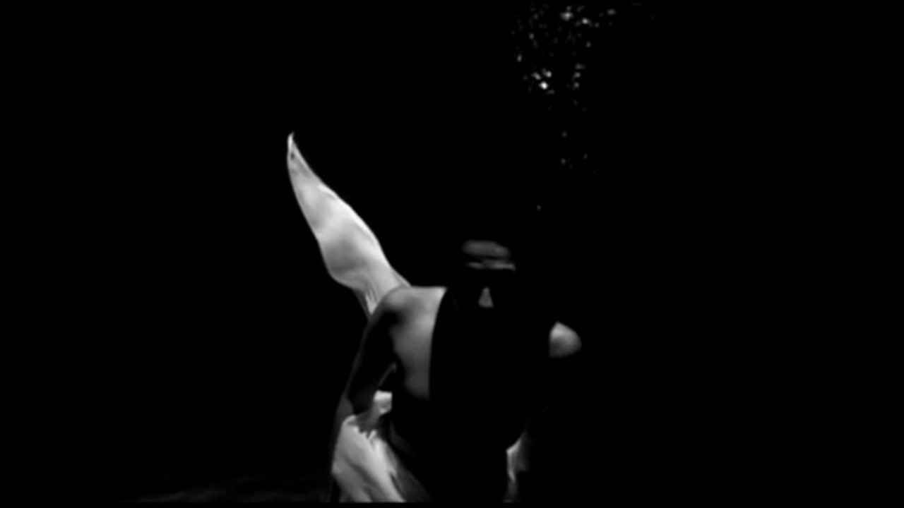 L’aviador alemany i la sirena (trailer)