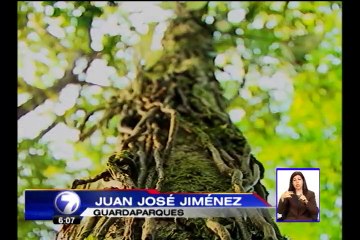 SINAC realiza sobrevuelos de vigilancia en áreas protegidas