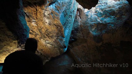 Aquatic Hitchhiker and Acid Wash