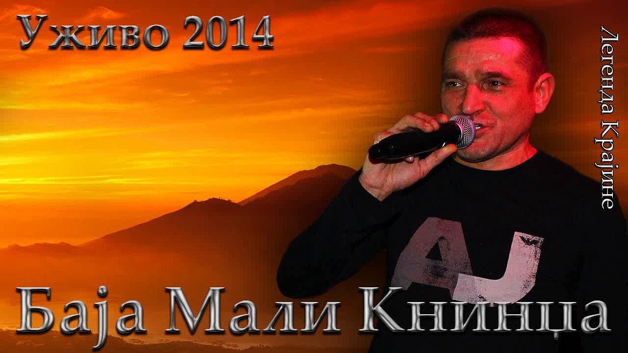 Baja Mali Knindza - Ptico moja bijeli labude - Uzivo 2014