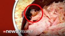 Mom Finds Disgusting Sea Creature in Tuna Can She Was About to Serve to Kids