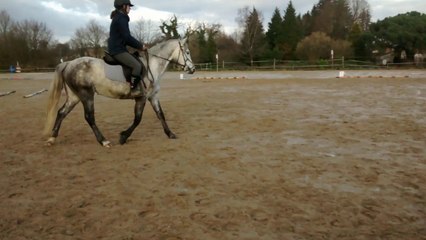 Beauty de la Boisselé - 2ème séance montée