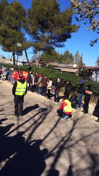 V Matinal a lo huevos fritos con patatas - Sacedón 2015 - Escuela de competición Lorenzo Guadalajara