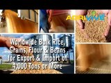 Purchase Bulk White Rice for Export, White Rice Exporting, White Rice Exporters, White Rice Exporter, White Rice Exports