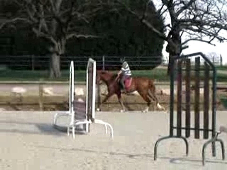 Newton - galop gauche
