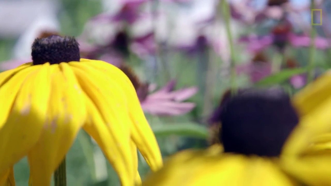 The U.S. Town With No Cell Phones or Wi-Fi