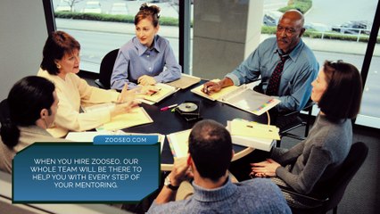 Zoo Seo  Offers comprehensive website mentoring