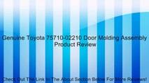 Genuine Toyota 75710-02210 Door Molding Assembly Review