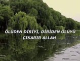 Ölüden diriyi,diriden ölüyü çıkarır Allah