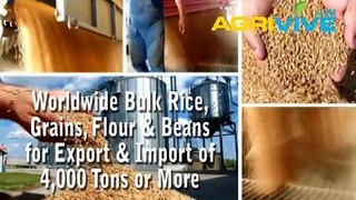 02iWholesale Bulk USA White Rice Broker, USA White Rice Export, Where to Buy Bulk USA White Rice, USA White Rice in Bulk, Buy